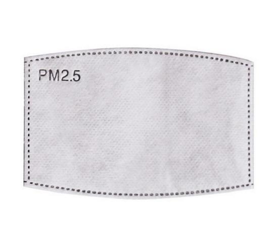 PM2.5-maskfilterinsats - 100 Pack