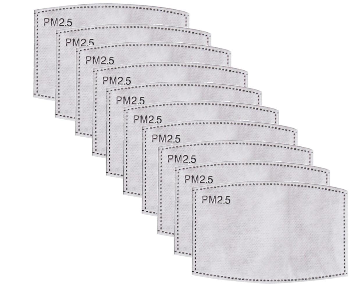 PM2.5-maskfilterinsats - 100 Pack